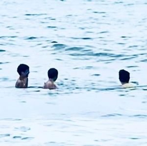 Meet your Posher, Brian